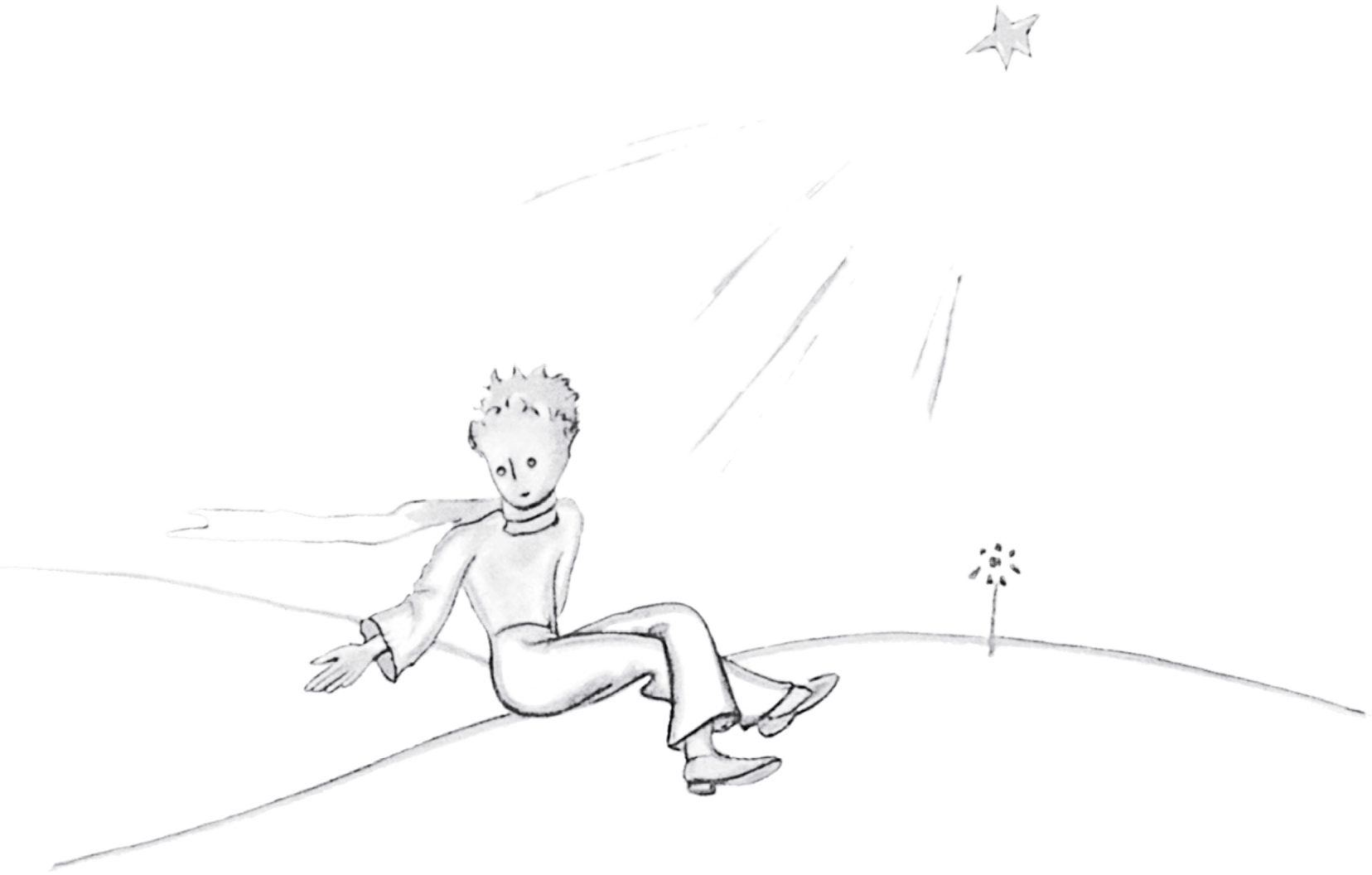 O prinçipin assettou