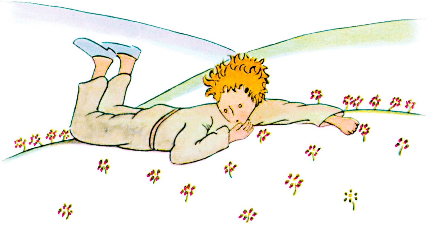 O prinçipin in sce un prou