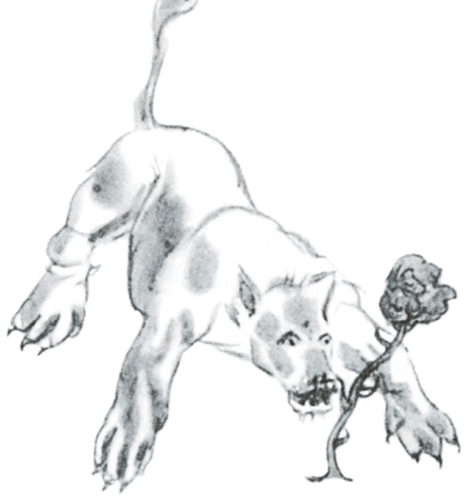 A tigre e unna reusa